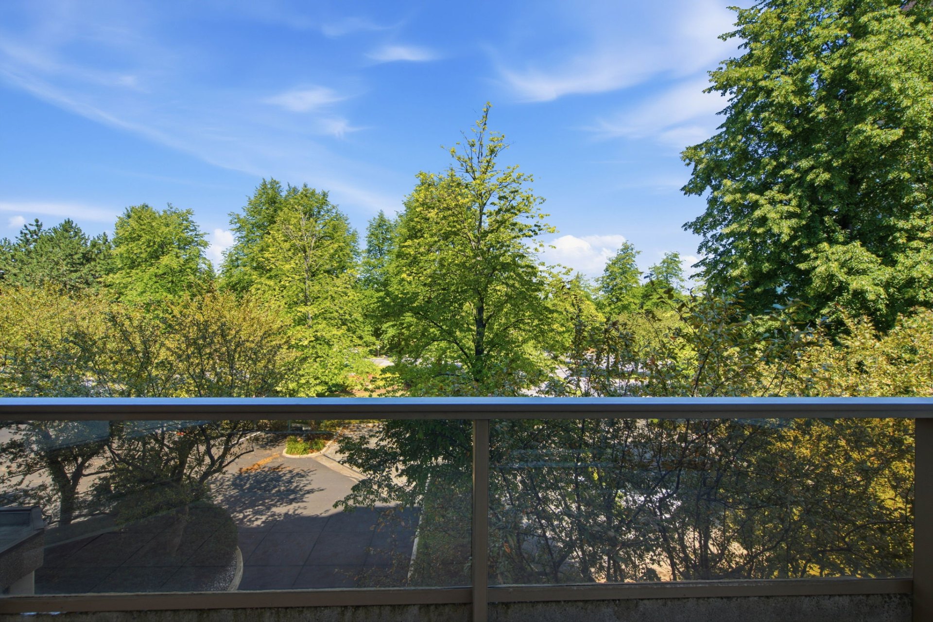 Treetop View from Balcony